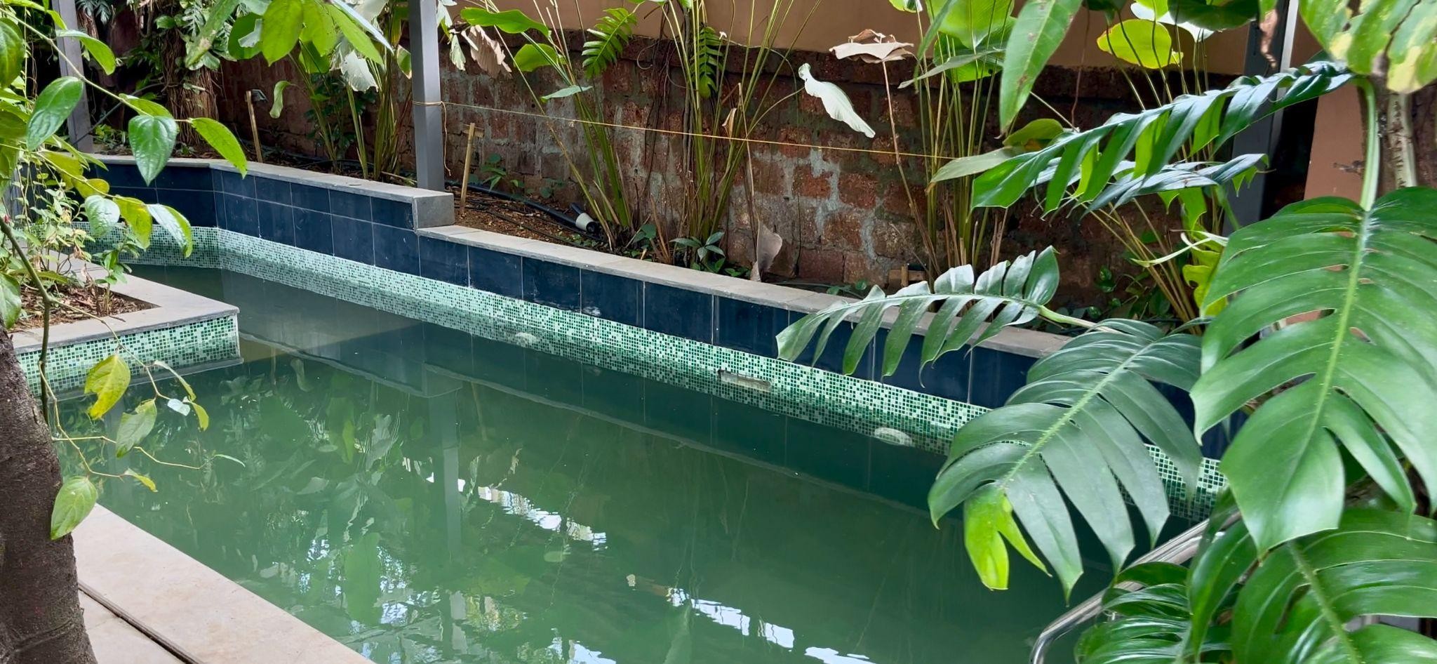 Nest homestead Swimming pool