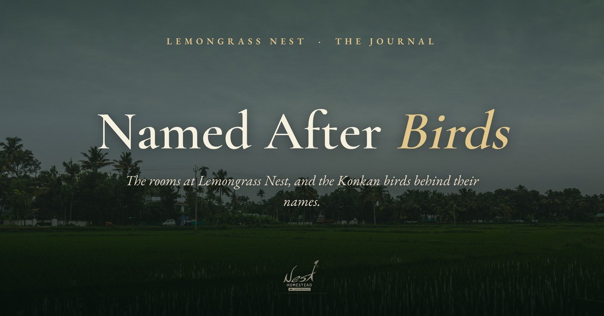 Lemongrass Nest rooms named after birds in Kudal, Sindhudurg
